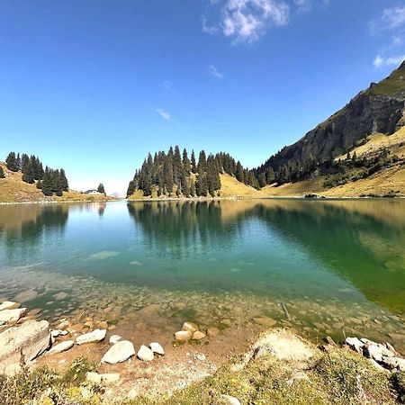 Alpine Dream Chalet With Spa Close To Lake Geneva Les Mosses Екстериор снимка