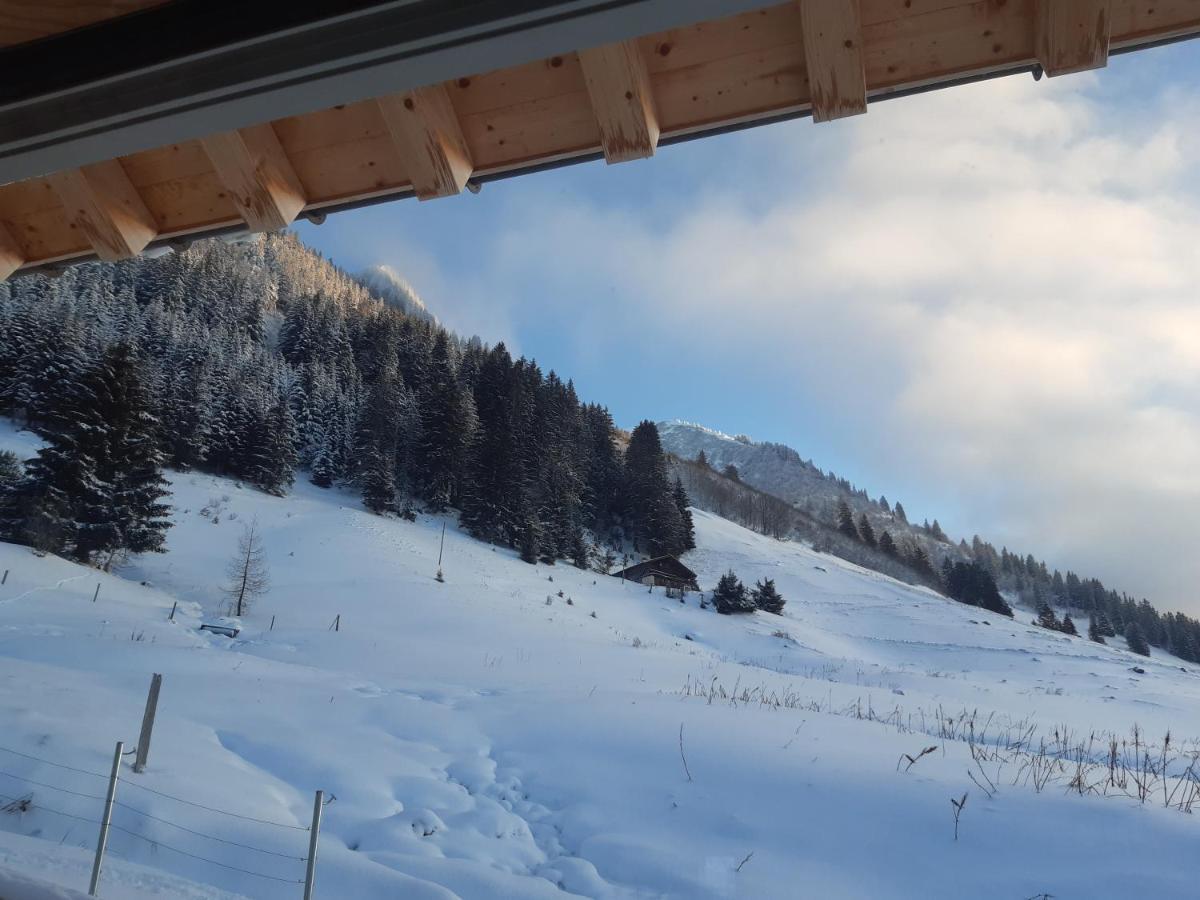 Alpine Dream Chalet With Spa Close To Lake Geneva Les Mosses Екстериор снимка