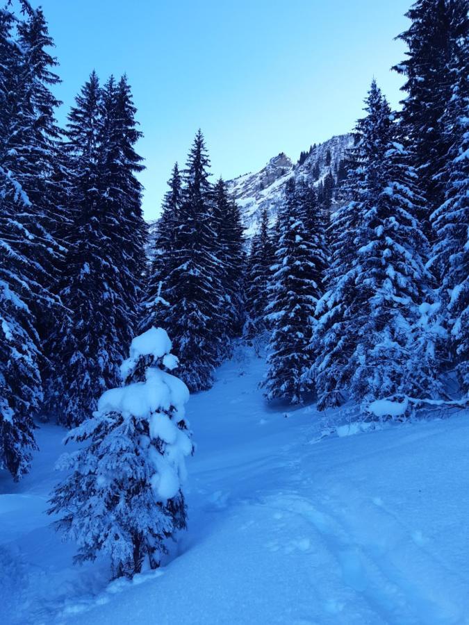 Alpine Dream Chalet With Spa Close To Lake Geneva Les Mosses Екстериор снимка